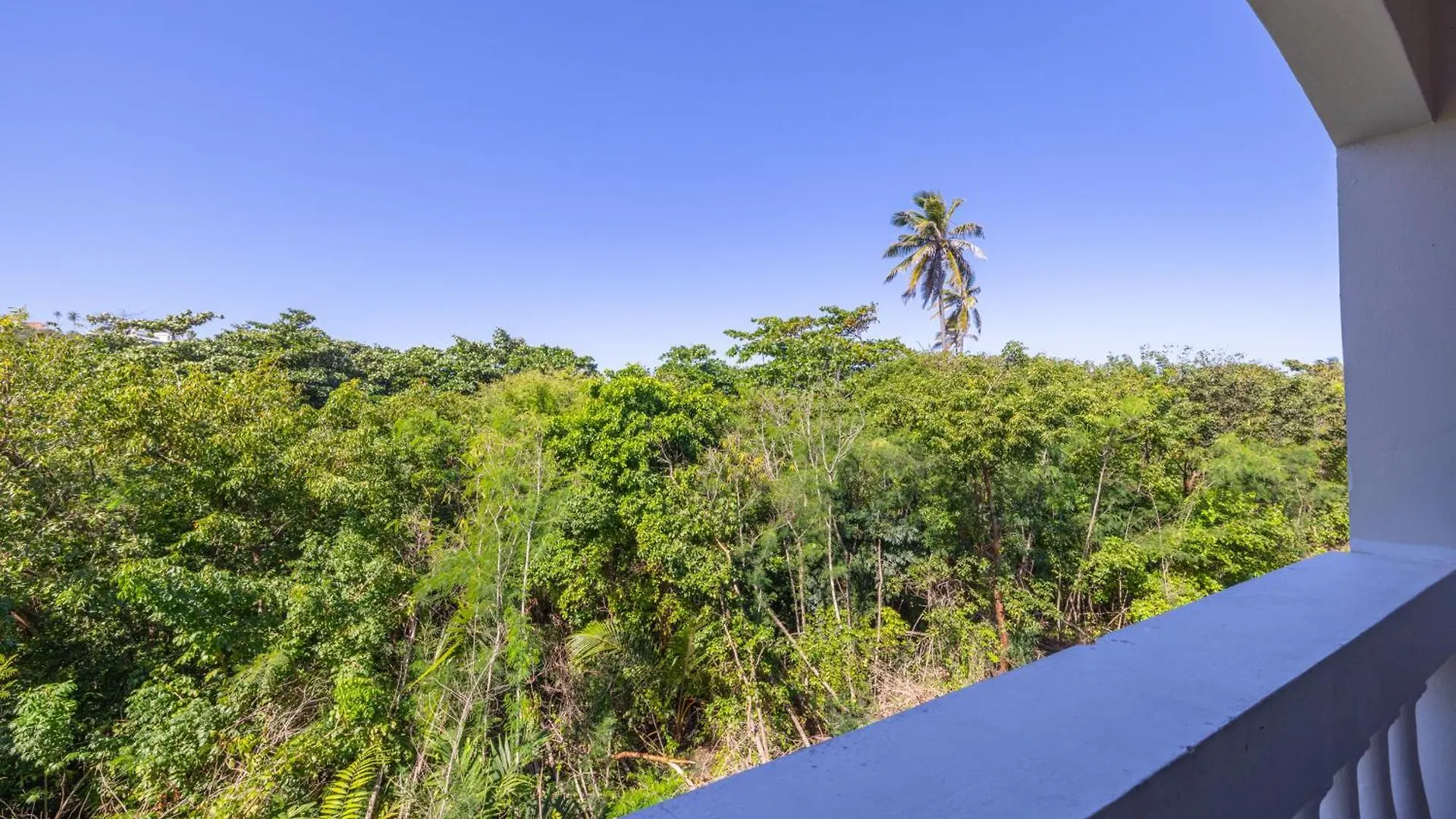 Golden Villas 306 Studio Isabela Daire